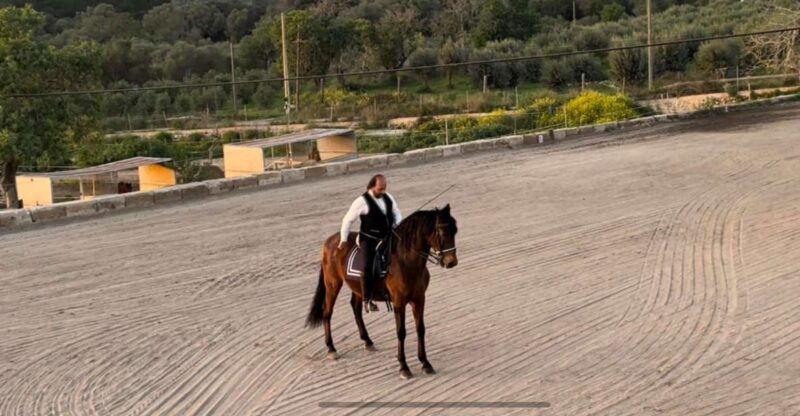 mallorca-sunset-spanish-riding-school-show