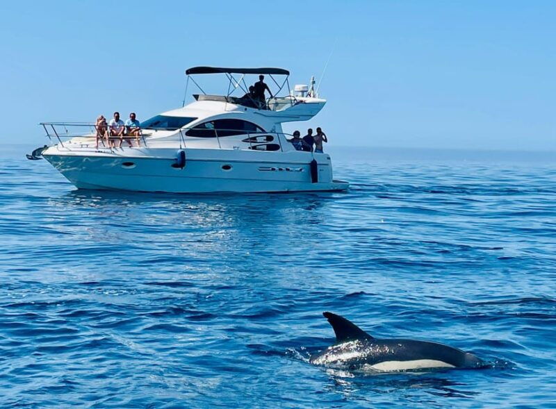 marbella-boat-trip-with-dolphin-watching-and-drinks