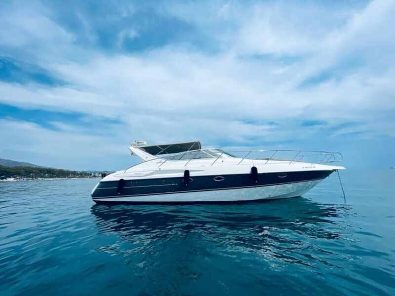 marbella-puerto-banus-2-hour-dolphin-watching-cruise