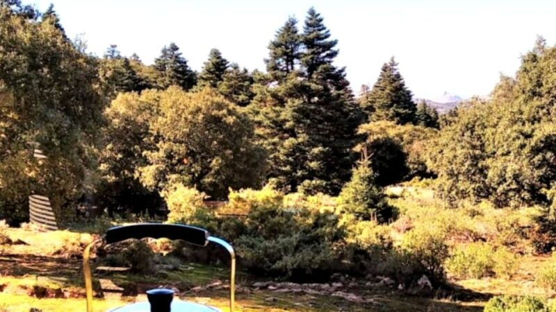 marbella-sierra-de-las-nieves-national-park-hiking-day-trip