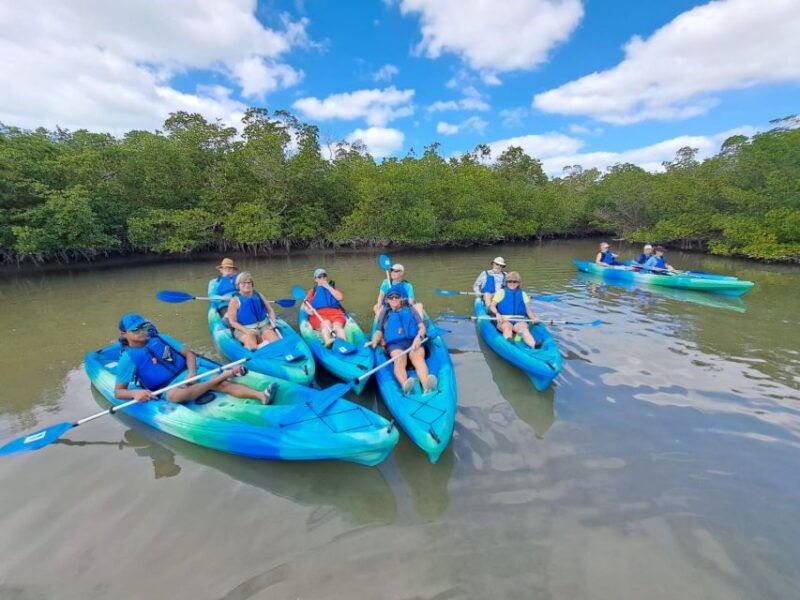 marco-island-kayak-mangrove-ecotour-in-rookery-bay-reserve