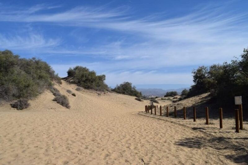 maspalomas-guided-camel-ride-in-the-maspalomas-sand-dunes