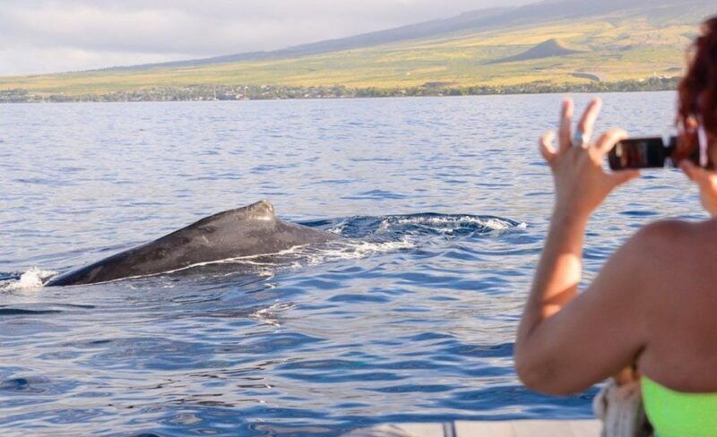 maui-guided-whale-watching-tour-on-eco-raft