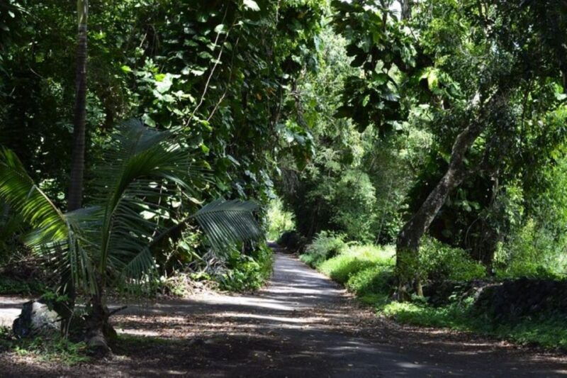 maui-iao-valley-tropical-plantation-lavender-farm-tour