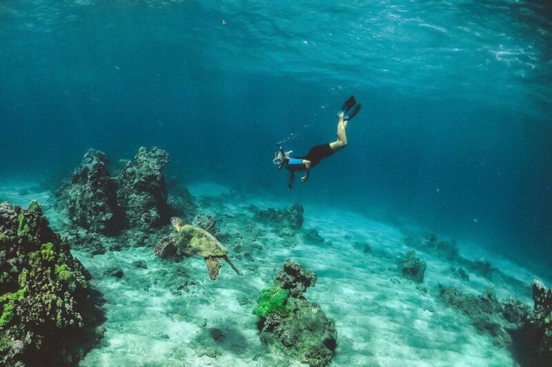 maui-semi-private-3-hour-eco-raft-turtle-snorkel-tour