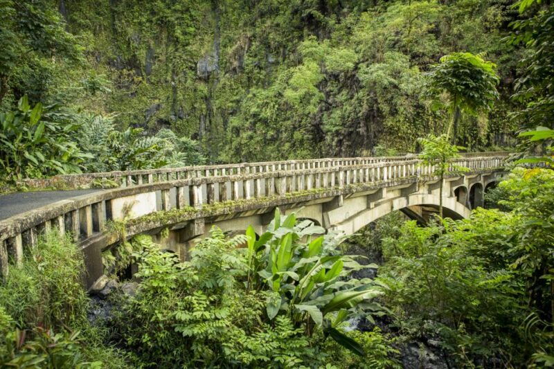 maui-small-group-road-to-hana-sightseeing-tour