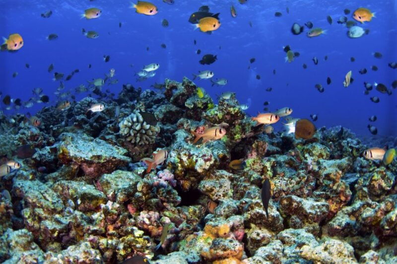 maui-west-side-discovery-kayak-snorkel-from-ukumehame