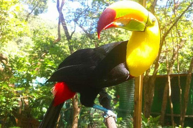 mayan-eden-eco-wildlife-park-city-tour-private-transfer
