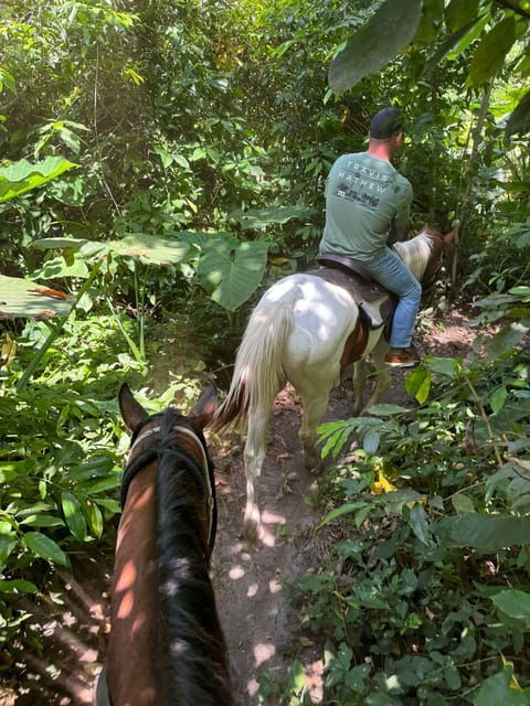miami-horseback-riding-in-south-beach