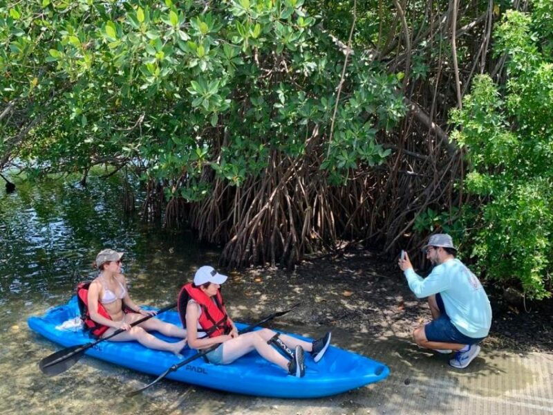 miami-manatee-season-paddleboard-or-kayak-tour