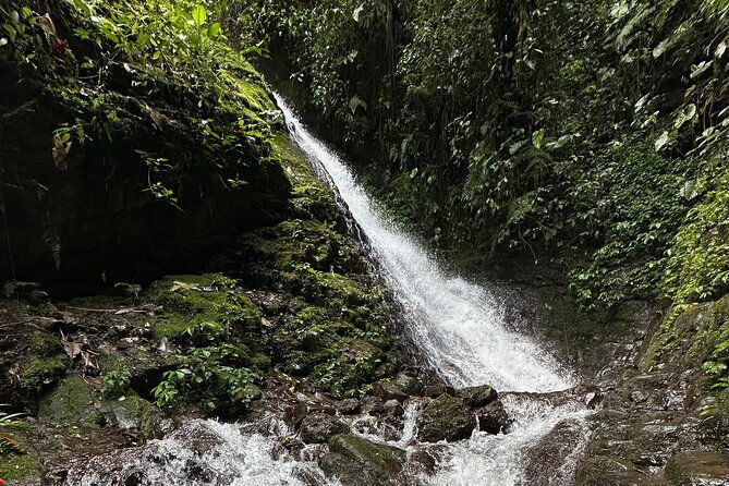 mindo-cloud-forest-guided-tour-small-groups-fee-included