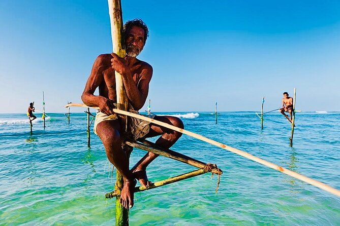 mirissa-whale-watching-stilt-fishing-turtle-tour-from-colombo