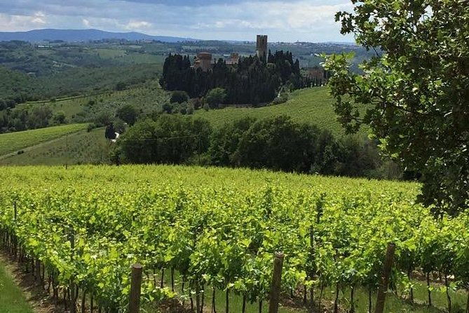 montecatini-private-day-trip-to-chianti-san-gimignano