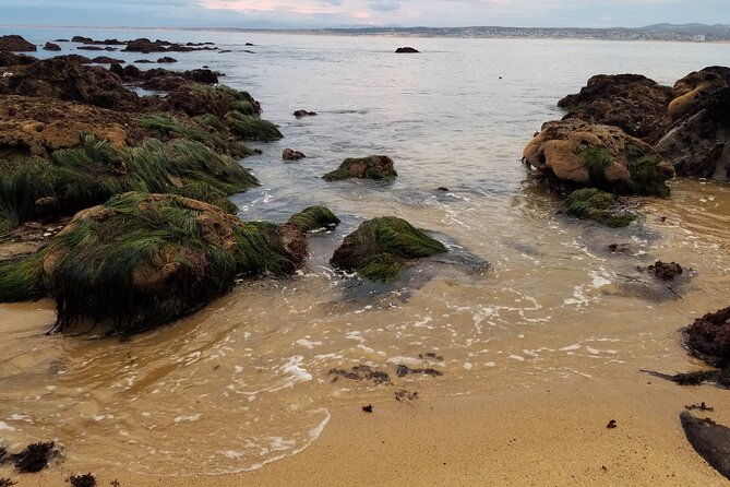 monterey-carmel-sightseeing-private-tour-10-hour-minimum