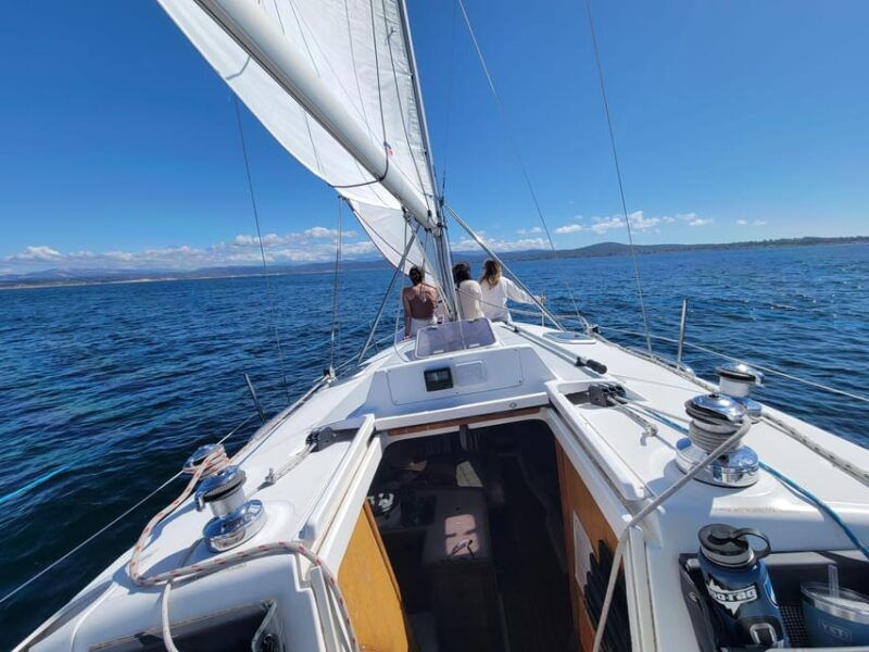 monterey-private-whale-watching-sailing-tour-for-6