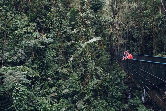 monteverde-combo-cable-car-zipline-hanging-bridges