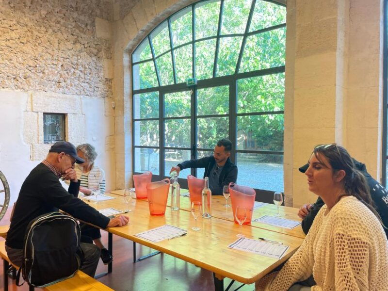 montpellier-discover-the-town-of-sete-oysters-and-vineyards