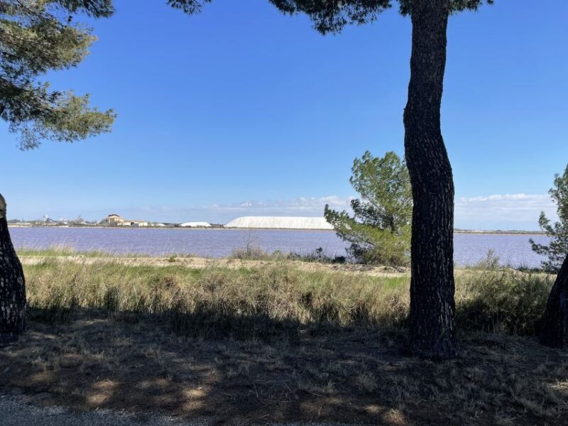 montpellier-half-day-wine-tour-in-camargue