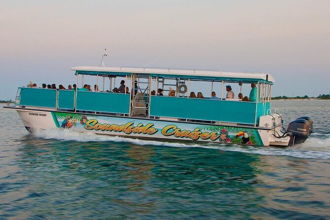 morning-snorkel-dolphin-adventure