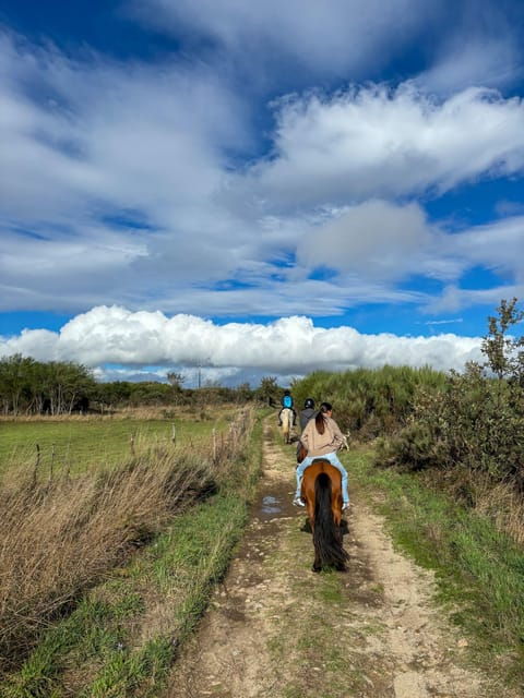 mountain-horseback-ride-lunch-wine-tasting