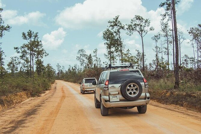 mountain-pine-ridge-tour-from-san-ignacio