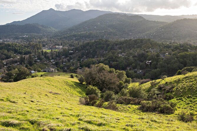 muir-woods-self-guided-driving-and-walking-audio-tour