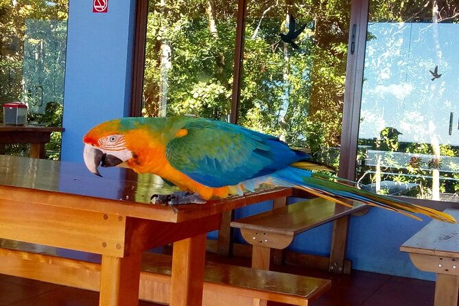 multi-day-all-inclusive-at-tortuguero-with-a-tour-at-national-park-from-san-jose