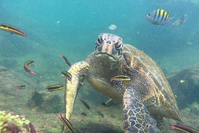 multi-day-tour-around-galapagos-islands