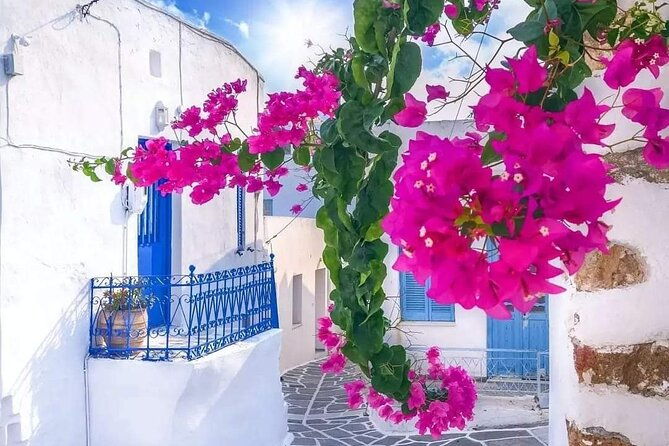 mykonian-mosaic-tour-for-the-first-time-visitors-from-cruise-port