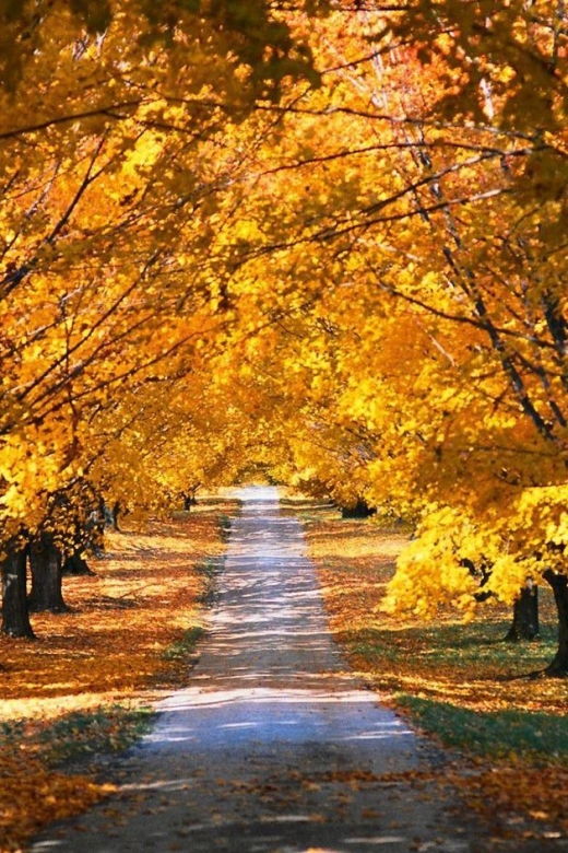 napa-sonoma-valley-custom-wine-tour