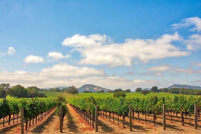 napa-valley-private-wine-transportation-up-to-6-passengers