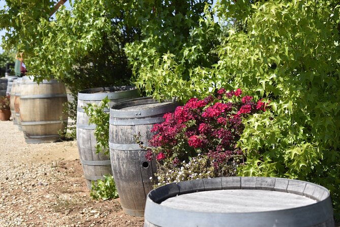 napa-valley-wine-tasting-tour-6-to-8-hours-max-14-passenger