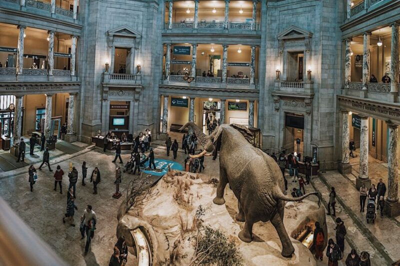 national-museum-of-natural-history-guided-tour