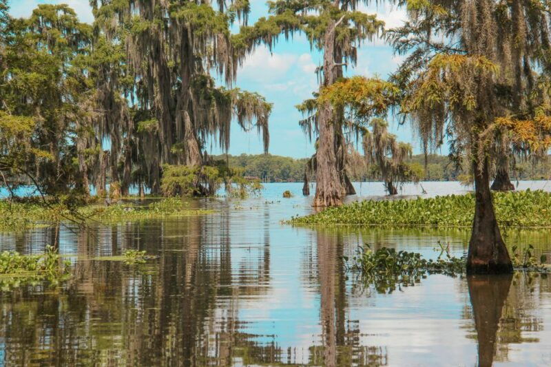 new-orleans-high-speed-9-passenger-airboat-tour