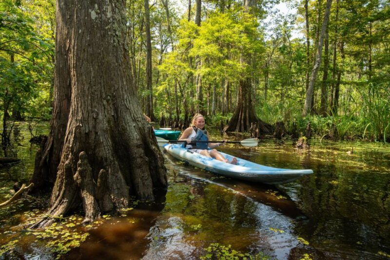 new-orleans-manchac-magic-kayak-swamp-tour