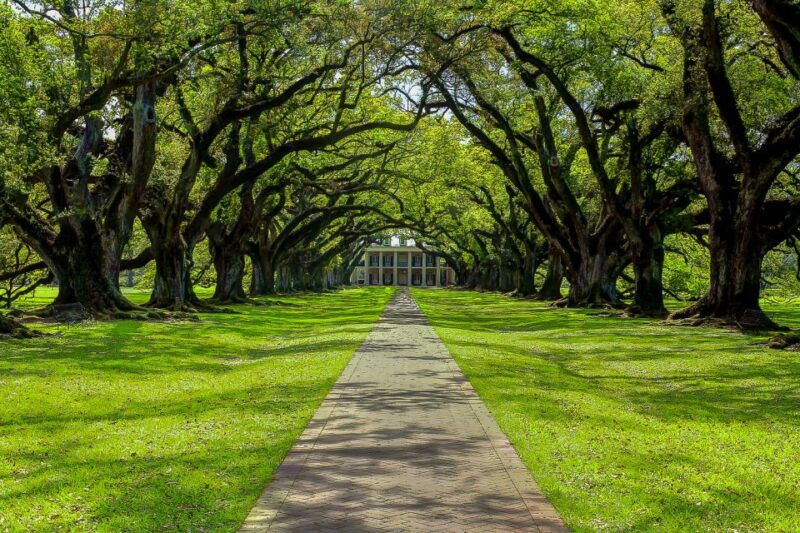 new-orleans-oak-alley-plantation-swamp-cruise-day-trip