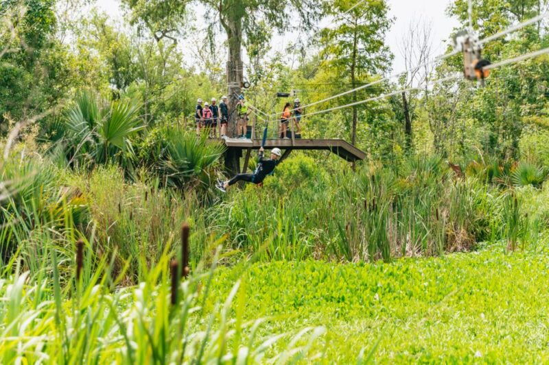 new-orleans-swamp-zipline-tour