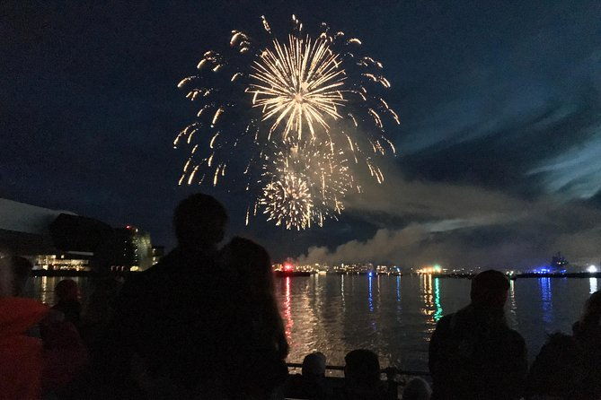 new-years-eve-fireworks-cruise-in-reykjavik