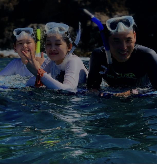 night-time-snorkel-at-turtle-town-with-lights-and-stars