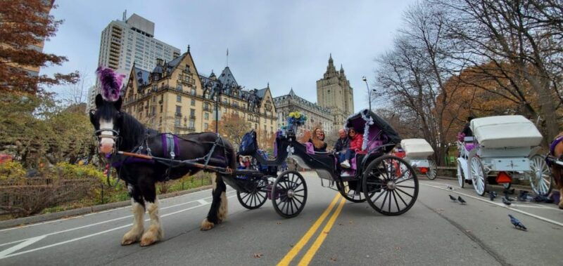 nyc-private-christmas-lights-horse-carriage-ride-2