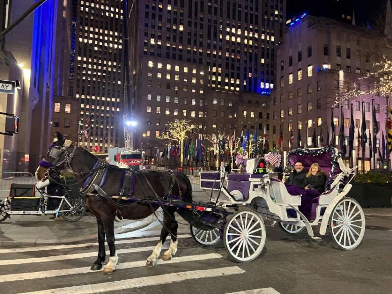 nyc-private-christmas-lights-horse-carriage-ride