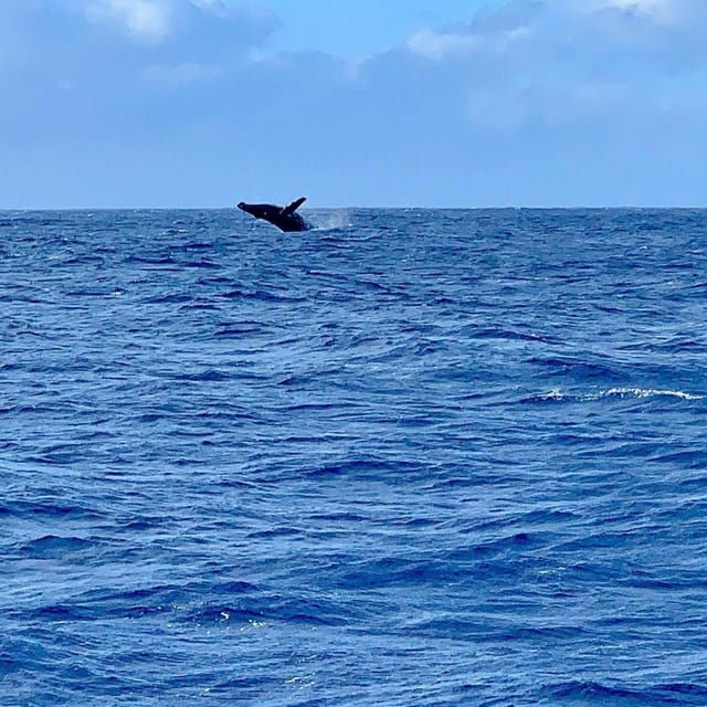 oahu-hawaii-honolulu-sailing-tour