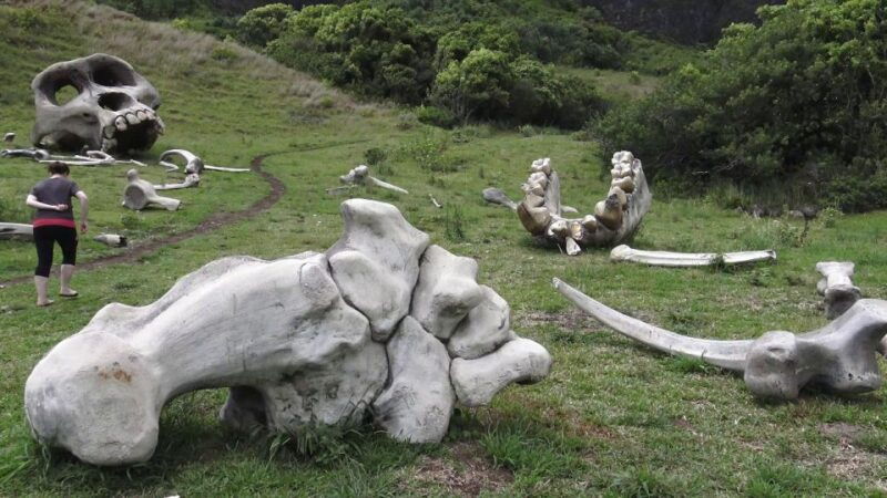 oahu-kualoa-movie-sites-jungle-and-buffet-tour-package