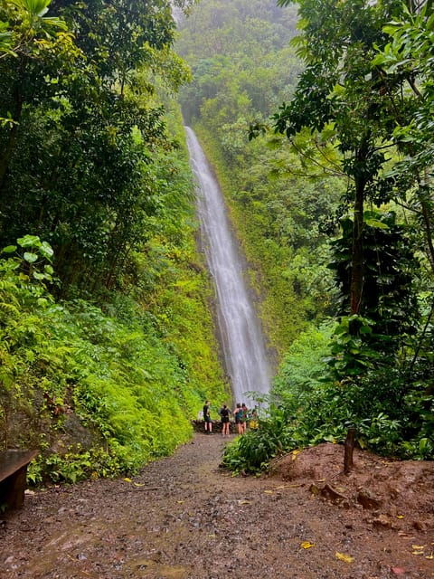 oahu-private-tour-waikiki-full-circle-island-customizable