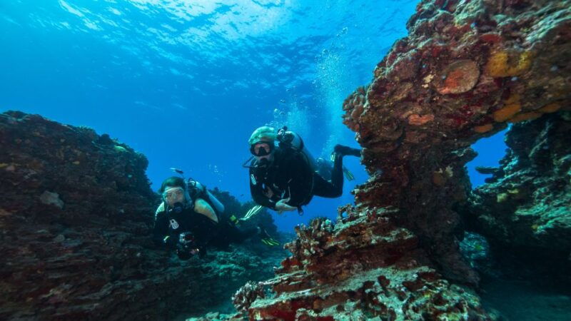 oahu-shallow-reef-scuba-dive-for-certified-divers