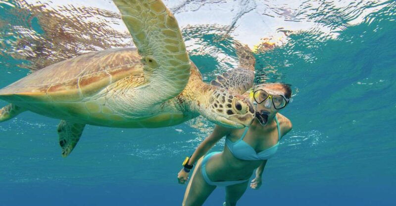 oahu-snorkeling-with-turtles-water-scooter-paddleboard