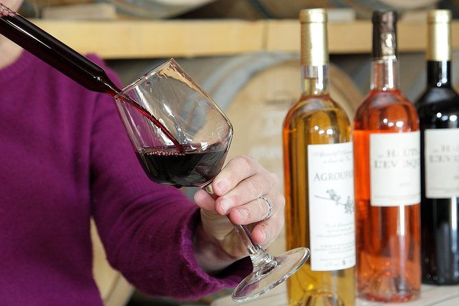 oenological-animation-from-the-vine-to-the-wine