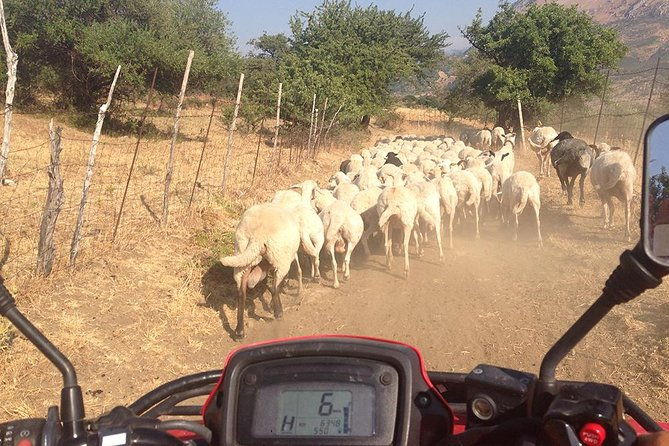 offroad-cefalu-quad-tour