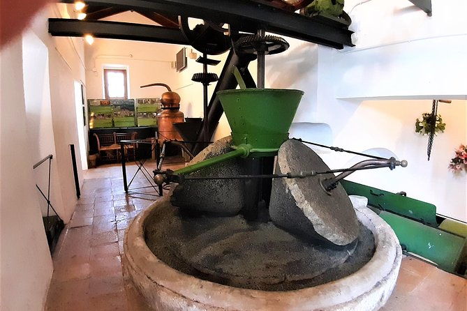 ojen-private-walking-tour-by-tours-in-malaga