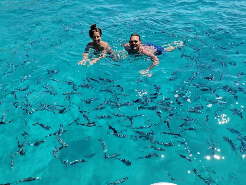 olbia-private-excursion-and-snorkeling-to-the-islands-of-tavolara-and-molara